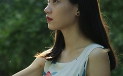 人狗胶配方大全免费天气预报